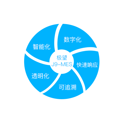 極望科技_追溯系統專家